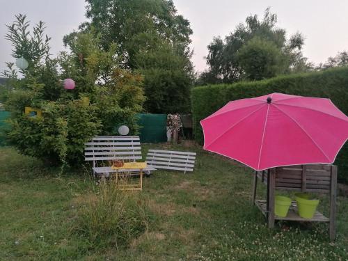 罗莫朗坦Chambre au coeur de la Sologne的两把长椅坐在院子里的粉红色伞