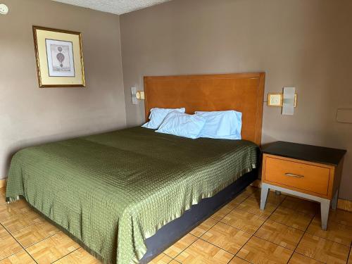 哈灵根Lone Star Inn & Suites的一间卧室配有一张床和一个带绿毯的床头柜。