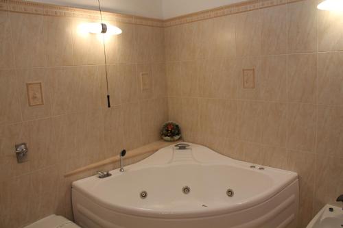 罗切拉伊奥尼卡吉安弗兰科公园酒店的带浴缸和卫生间的浴室。