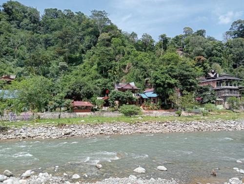 武吉拉旺Sumatra Jungle Trek In & Orangutan Trips的河岸上的一群房子