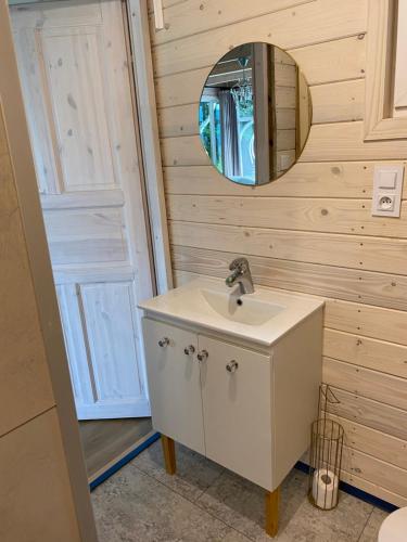 塔干尼采Forest house的一间带水槽和镜子的浴室