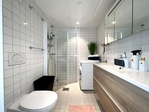 奥斯陆City center flat w roof top terrace & free parking的浴室配有卫生间、盥洗盆和淋浴。