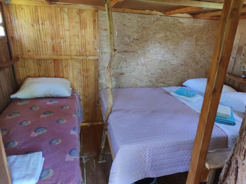 普雷韦扎Cuckoo's nest tree house的小型客房的两张床,设有木墙
