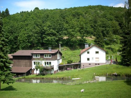 奥博瓦斯基德Apartment in Bruchhausen right on the fishing river的山丘上的两座建筑和一座房子