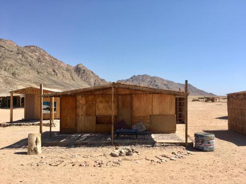 努韦巴Peace land camp的沙漠中一座小建筑