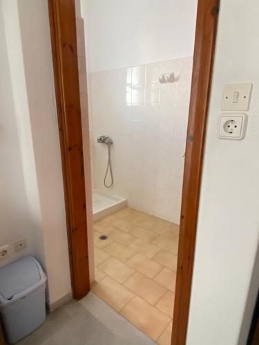 纳克索乔拉Asiminas的带淋浴和卫生间的浴室。