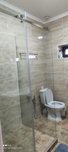 乔克-塔尔Коттедж Palm beach的一间带卫生间和玻璃淋浴间的浴室