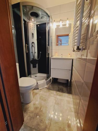 格里兹鲍Willa Kwiatano - Plac zabaw & Jacuzzi & Basen & Sauna的浴室配有卫生间、盥洗盆和淋浴。