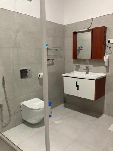 锡吉里亚The View Hotel Sigiriya的一间带卫生间、水槽和镜子的浴室