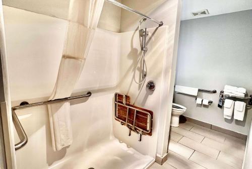 简斯维尔简斯维尔温德姆麦克罗特酒店的带淋浴和卫生间的浴室