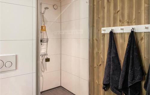 努尔菲尤尔埃德Cozy Home In Nordfjordeid With Wifi的带淋浴的浴室和玻璃门