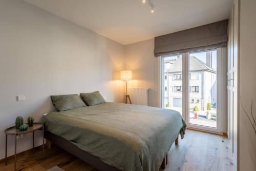 卢森堡Renovated 2 Bedroom Apartment with Parking & AC的一间卧室设有一张床和一个大窗户