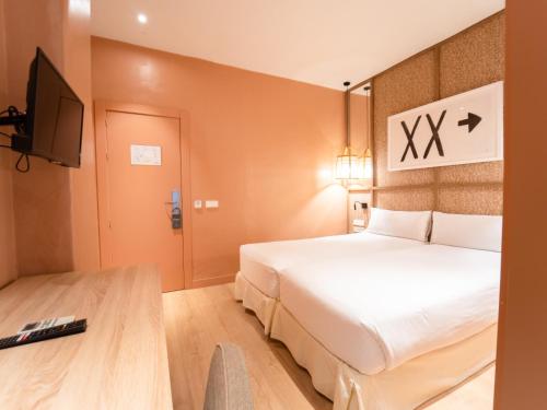 格拉纳达U-Sense Granada Centro的一间酒店客房,配有一张床和一台电视