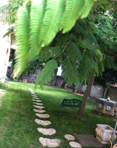 什图罗沃Villa Marta的院子中树和石头路,长有长凳