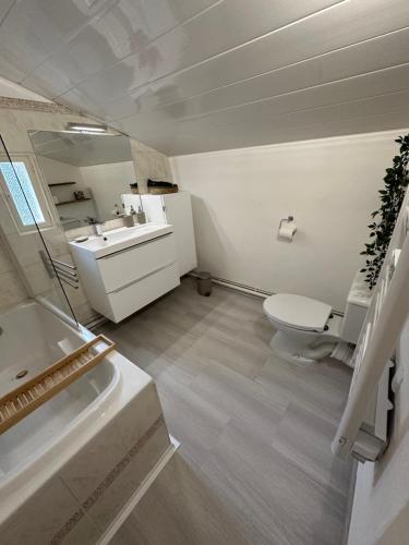普罗旺斯艾克斯Maison Françoise的白色的浴室设有卫生间和水槽。