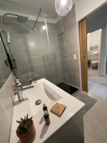 布尔日CLéMenCeau - MaRaiS - CaThéDraLe的浴室配有白色水槽和淋浴。