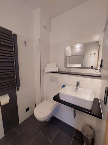 巴德马斯考Pension Am Park的白色的浴室设有水槽和卫生间。