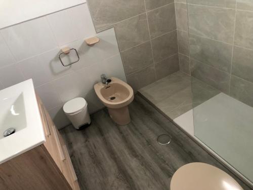 扎弗拉Apartamentos Atalayas Extremadura的一间带水槽、卫生间和淋浴的浴室