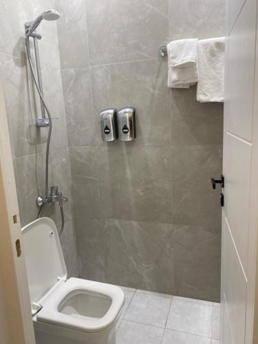 塔伊夫dana hotel apartments的一间带卫生间和淋浴间的浴室
