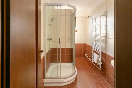 杜丁西ONYX Penzión的带淋浴的浴室和玻璃门
