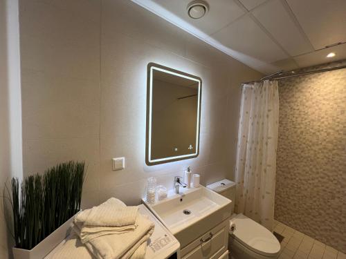 塔尔图Apartment Kvartsi的一间带水槽、卫生间和镜子的浴室