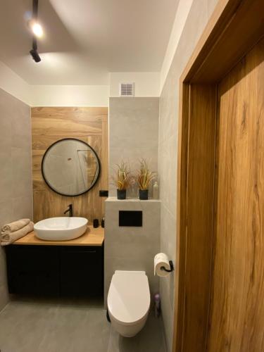 下乌斯奇基Apartament Mech & Paprocie的一间带水槽、卫生间和镜子的浴室