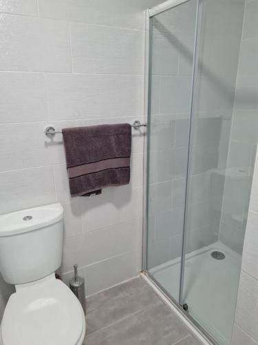 莱特肯尼sea view apartment的一间带卫生间和玻璃淋浴间的浴室