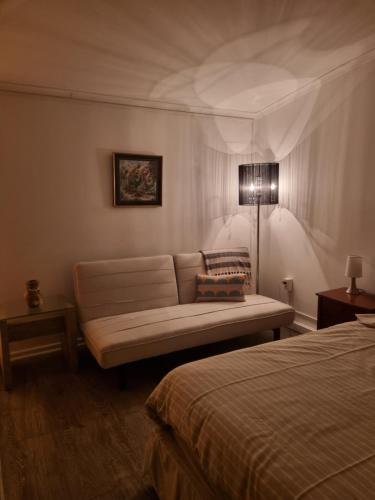 蓬塔阿雷纳斯feelings的客厅配有沙发和1张床