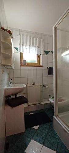 苏尔Haseltal的一间带水槽和淋浴的浴室