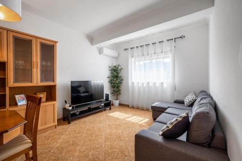 纳扎雷Porto Santo Apartment的带沙发和电视的客厅