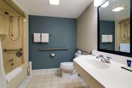 Londonderry伦敦德里司丽普酒店的一间带水槽、卫生间和镜子的浴室