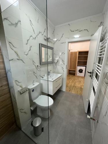 百乐费利克斯Apartamente CasaBella的一间带卫生间和水槽的浴室