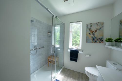 蒙特朗布朗Le Rétro Chic à Mont-Tremblant的带淋浴和卫生间的白色浴室