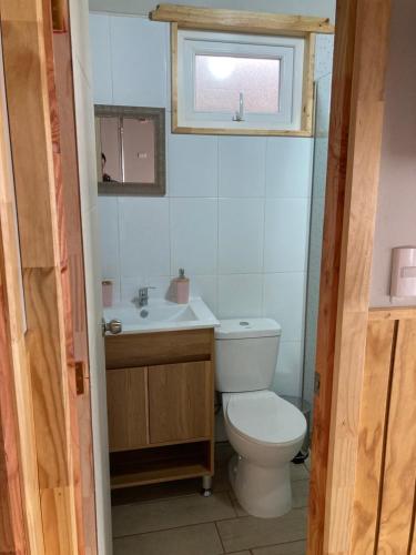 蒙特港El Viloche - Tiny House的一间带卫生间、水槽和窗户的浴室