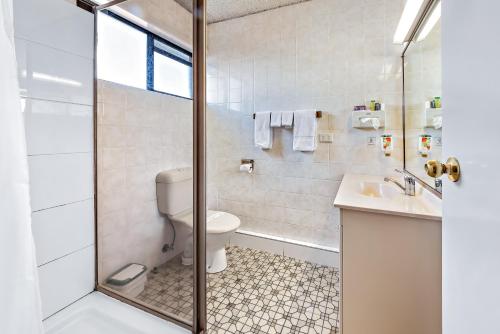 史丹霍普苹果和葡萄汽车旅馆 的浴室配有卫生间、盥洗盆和淋浴。