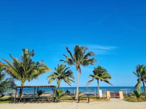 关丹Blackstone Beach Resort的海滩上的一棵棕榈树