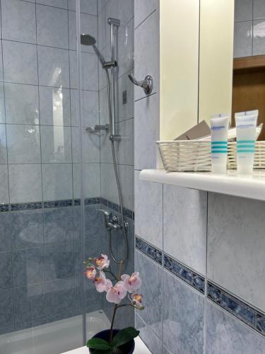 拉布娜塔莎公寓的带淋浴和花瓶的浴室