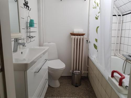 霍耶Bed & Kitchen i Højer的白色的浴室设有卫生间和水槽。