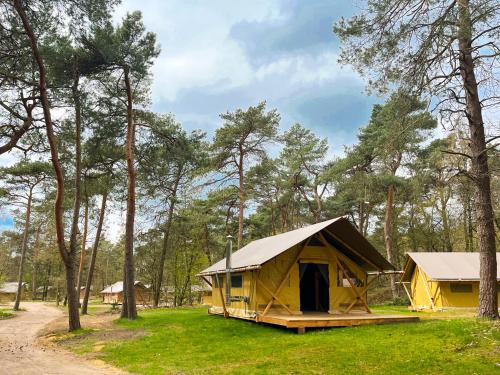 KootwijkHuttopia De Veluwe的绿树成荫的黄帐篷