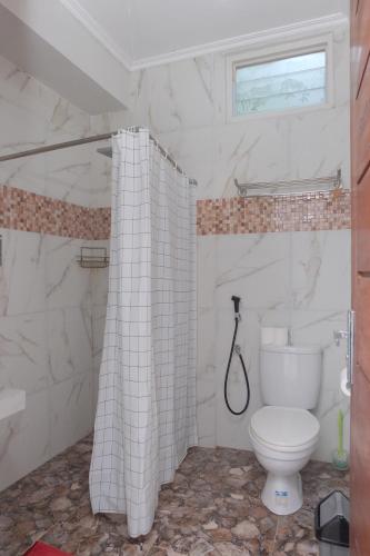 哲帕拉Shoreside Semat Villa and Flat的一间带卫生间和淋浴帘的浴室