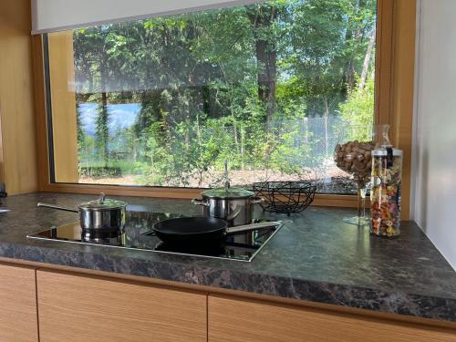 布莱德Ambient Resort Bled的厨房柜台配有炉灶上的锅碗瓢盆