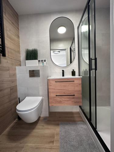 德兹维济诺NT Holiday的一间带卫生间、水槽和镜子的浴室