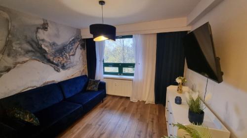 斯诺科Apartament nad zalewem 217的客厅设有蓝色的沙发和窗户。
