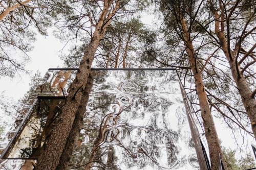 尤尔巴尔卡斯Treehouse Virš Bedugnės的从地面上望向树木的景色
