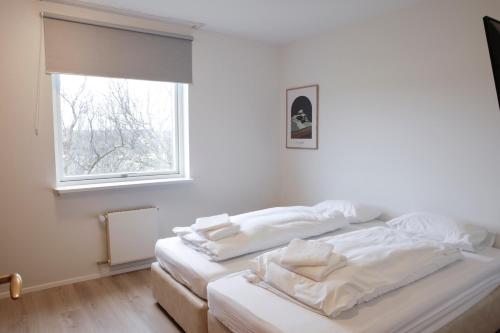 EiðarEiðar - Hostel的带窗户的客房内的两张床