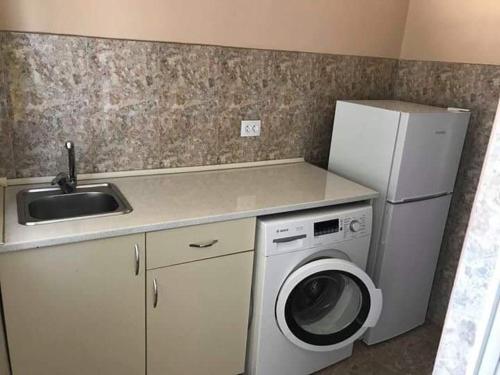 巴统Luka Family Guest House的厨房配有水槽和洗衣机