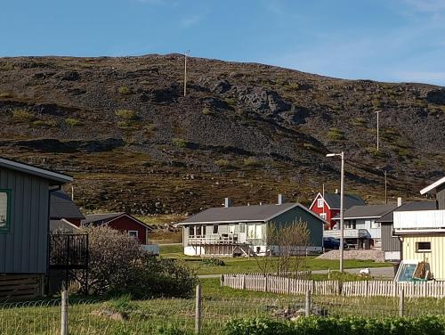 KongsfjordKongsfjord Holiday Home的一座有房子的村庄和一座山的背景