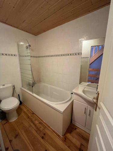 勒布罗伊斯The Stable House Bourg d’Oisans -bike/hike/ski的浴室配有卫生间、浴缸和水槽。