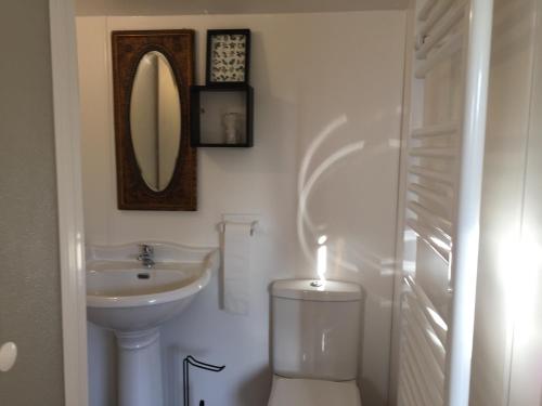 KirdfordWoodman's Rest的一间带水槽、卫生间和镜子的浴室