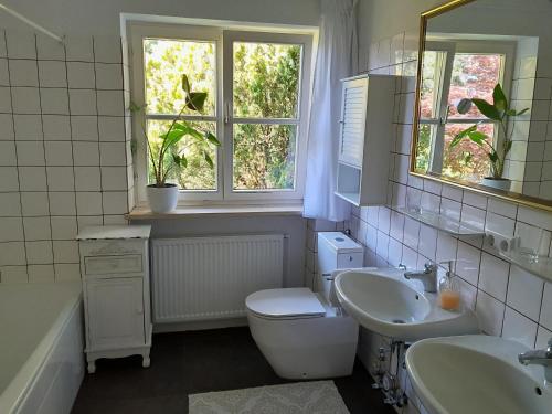 瓦瑟堡Ferienwohnung mit Klavier Bodensee的浴室配有卫生间、盥洗盆和浴缸。